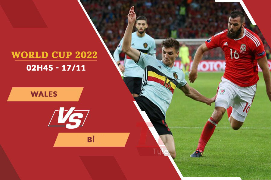 Nhận định soi kèo Wales vs Bỉ